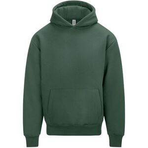 Sweatshirts à capuche Awdis Signature Vert EU XXL,EU S,EU M,EU L,EU XL,EU XS,EU 3XL Heren Sweatshirts à capuche Awdis Signature Vert EU XXL,EU S,EU M,EU L,EU XL,EU XS,EU 3XL Heren