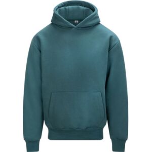 Sweatshirts à capuche Awdis Signature Bleu EU XXL,EU S,EU M,EU L,EU XL,EU XS,EU 3XL Heren Sweatshirts à capuche Awdis Signature Bleu EU XXL,EU S,EU M,EU L,EU XL,EU XS,EU 3XL Heren