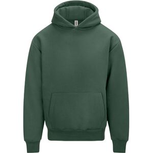 Sweatshirts à capuche Awdis Signature Vert EU XXL,EU S,EU M,EU L,EU XL,EU XS,EU 3XL Heren Sweatshirts à capuche Awdis Signature Vert EU XXL,EU S,EU M,EU L,EU XL,EU XS,EU 3XL Heren