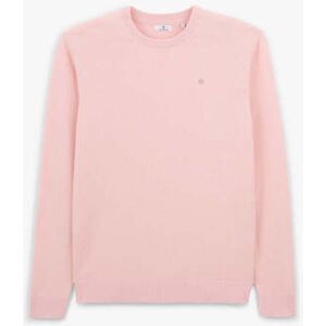 Pull Serge Blanco Maximus Rose EU XXL,EU S,EU M,EU L,EU XL,EU 3XL,EU 4XL,EU 5XL Heren Pull Serge Blanco Maximus Rose EU XXL,EU S,EU M,EU L,EU XL,EU 3XL,EU 4XL,EU 5XL Heren