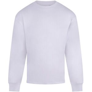 Sweatshirts Anthem Headline Blanc EU XXL,EU S,EU M,EU L,EU XL,EU XS,EU 3XL Heren Sweatshirts Anthem Headline Blanc EU XXL,EU S,EU M,EU L,EU XL,EU XS,EU 3XL Heren