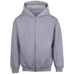 Sweatshirts à capuche Awdis Vision Gris EU XXL,EU XL Heren Sweatshirts à capuche Awdis Vision Gris EU XXL,EU XL Heren