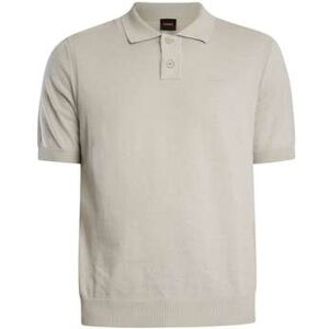 Polo BOSS Polo Asac Gris EU M,EU L,EU XL Heren Polo BOSS Polo Asac Gris EU M,EU L,EU XL Heren
