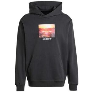 Sweatshirts à capuche adidas Graphic Hoodie Gris EU S,EU L,EU XL Heren Sweatshirts à capuche adidas Graphic Hoodie Gris EU S,EU L,EU XL Heren