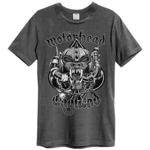 T-shirt Amplified Clothing Snaggletooth Crest Multicolore EU XXL,EU S,EU M,EU L,EU XL,EU 3XL Dames T-shirt Amplified Clothing Snaggletooth Crest Multicolore EU XXL,EU S,EU M,EU L,EU XL,EU 3XL Dames