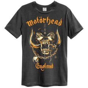 T-shirt Amplified Clothing Bronze England Multicolore EU XXL,EU S,EU M,EU L,EU XL,EU 3XL Dames T-shirt Amplified Clothing Bronze England Multicolore EU XXL,EU S,EU M,EU L,EU XL,EU 3XL Dames