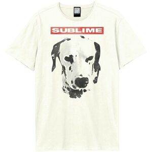 T-shirt Amplified Clothing What I Want Dalmation Multicolore EU XXL,EU S,EU M,EU L,EU XL,EU XS Dames T-shirt Amplified Clothing What I Want Dalmation Multicolore EU XXL,EU S,EU M,EU L,EU XL,EU XS Dames