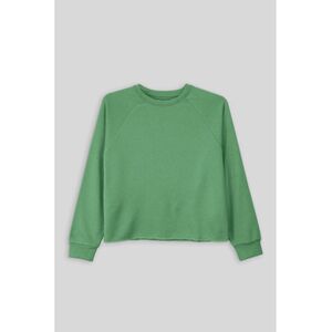 Sweatshirts Enorsia Sweat à bord brut Vert FR 36,FR 38,FR 40,FR 42,FR 44,FR 46 Dames Sweatshirts Enorsia Sweat à bord brut Vert FR 36,FR 38,FR 40,FR 42,FR 44,FR 46 Dames