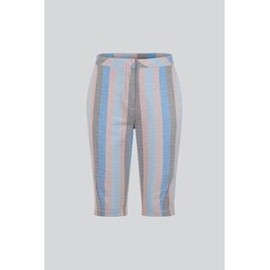 Short Enorsia Shorts Mi-Longueur en Motif Chevron Rayé Texturé Multicolore Multicolore FR 36,FR 38,FR 40,FR 42,FR 44,FR 46 Dames Short Enorsia Shorts Mi-Longueur en Motif Chevron Rayé Texturé Multicolore Multicolore FR 36,FR 38,FR 40,FR 42,FR 44,FR 46 Dames