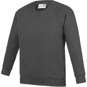 Sweatshirts Awdis RW6682 Gris 3 / 4 ans,11 / 12 ans,13 ans,9 / 10 ans Jongens Sweatshirts Awdis RW6682 Gris 3 / 4 ans,11 / 12 ans,13 ans,9 / 10 ans Jongens
