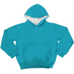 Sweatshirts à capuche Awdis JH03J Bleu 3 / 4 ans,5 / 6 ans,7 / 8 ans,12 ans Jongens Sweatshirts à capuche Awdis JH03J Bleu 3 / 4 ans,5 / 6 ans,7 / 8 ans,12 ans Jongens