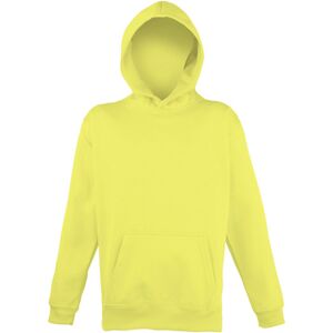 Sweatshirts à capuche Awdis JH04J Multicolore 3 / 4 ans,5 / 6 ans,7 / 8 ans,12 ans Jongens Sweatshirts à capuche Awdis JH04J Multicolore 3 / 4 ans,5 / 6 ans,7 / 8 ans,12 ans Jongens