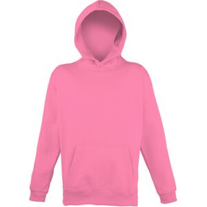 Sweatshirts à capuche Awdis JH04J Rouge 3 / 4 ans,5 / 6 ans,7 / 8 ans,12 ans Jongens Sweatshirts à capuche Awdis JH04J Rouge 3 / 4 ans,5 / 6 ans,7 / 8 ans,12 ans Jongens