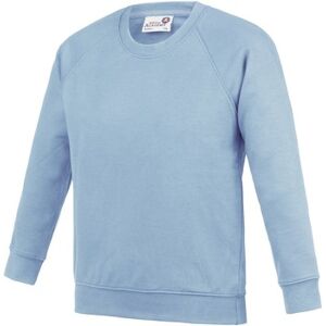 Sweatshirts Awdis RW6682 Bleu 7 / 8 ans,13 ans,11 / 12 ans,9 / 10 ans Meisjes Sweatshirts Awdis RW6682 Bleu 7 / 8 ans,13 ans,11 / 12 ans,9 / 10 ans Meisjes