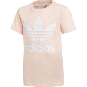 T-shirt enfant adidas TREFOIL TEE Rose EU L,EU XL Meisjes T-shirt enfant adidas TREFOIL TEE Rose EU L,EU XL Meisjes
