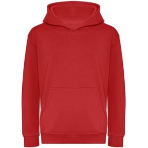 Sweatshirts à capuche Awdis J201J Rouge 12 ans,3 / 4 ans,5 / 6 ans,7 / 8 ans Meisjes Sweatshirts à capuche Awdis J201J Rouge 12 ans,3 / 4 ans,5 / 6 ans,7 / 8 ans Meisjes