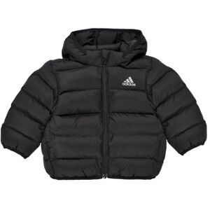 Doudounes enfants adidas Synthetic Down Jacket Noir 3 / 6 mois,6 / 9 mois,9 / 12 mois,0 / 3 mois Meisjes Doudounes enfants adidas Synthetic Down Jacket Noir 3 / 6 mois,6 / 9 mois,9 / 12 mois,0 / 3 mois Meisjes