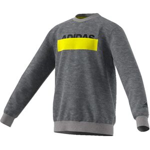 Sweatshirts adidas DZ5938 Gris 7 / 8 ans,9 / 10 ans Jongens Sweatshirts adidas DZ5938 Gris 7 / 8 ans,9 / 10 ans Jongens