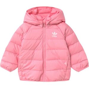 Doudounes enfants adidas GD2640 Rose 6 / 9 mois,9 / 12 mois,12 / 18 mois,18 / 24 mois Jongens Doudounes enfants adidas GD2640 Rose 6 / 9 mois,9 / 12 mois,12 / 18 mois,18 / 24 mois Jongens
