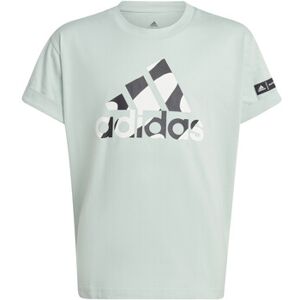 T-shirt enfant adidas IB9152 Vert 11 / 12 ans,7 / 8 ans,9 / 10 ans Jongens T-shirt enfant adidas IB9152 Vert 11 / 12 ans,7 / 8 ans,9 / 10 ans Jongens