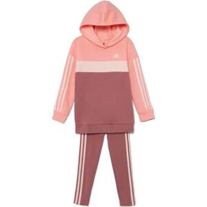Ensembles de survêtement adidas IV7441 Rose 3 / 4 ans,4 / 5 ans Meisjes Ensembles de survêtement adidas IV7441 Rose 3 / 4 ans,4 / 5 ans Meisjes