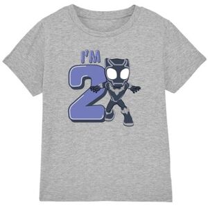 T-shirt enfant Black Panther TV3225 Gris 3 / 4 ans,5 / 6 ans,7 / 8 ans,12 ans Jongens T-shirt enfant Black Panther TV3225 Gris 3 / 4 ans,5 / 6 ans,7 / 8 ans,12 ans Jongens