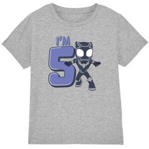 T-shirt enfant Black Panther TV3974 Gris 12 ans,3 / 4 ans,5 / 6 ans,7 / 8 ans Jongens T-shirt enfant Black Panther TV3974 Gris 12 ans,3 / 4 ans,5 / 6 ans,7 / 8 ans Jongens