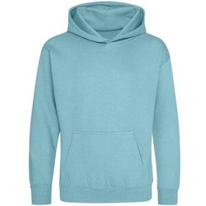 Sweatshirts à capuche Awdis JH001B Bleu 12 ans,3 / 4 ans,5 / 6 ans,7 / 8 ans Jongens Sweatshirts à capuche Awdis JH001B Bleu 12 ans,3 / 4 ans,5 / 6 ans,7 / 8 ans Jongens