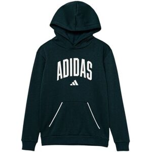 Sweatshirts à capuche adidas JV7337 Vert 11 / 12 ans,13 / 14 ans,9 / 10 ans Jongens Sweatshirts à capuche adidas JV7337 Vert 11 / 12 ans,13 / 14 ans,9 / 10 ans Jongens