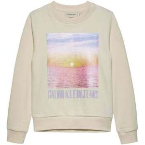 Sweatshirts Calvin Klein Jeans - Marron 10 ans,12 ans,14 ans,16 ans Meisjes Sweatshirts Calvin Klein Jeans - Marron 10 ans,12 ans,14 ans,16 ans Meisjes