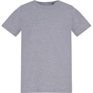 T-shirt enfant Awdis AT002B Gris 12 ans,14 ans,3 / 4 ans,5 / 6 ans,7 / 8 ans Jongens T-shirt enfant Awdis AT002B Gris 12 ans,14 ans,3 / 4 ans,5 / 6 ans,7 / 8 ans Jongens