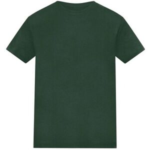 T-shirt enfant Awdis RW11091 Vert 12 ans,14 ans,3 / 4 ans,5 / 6 ans,7 / 8 ans Meisjes T-shirt enfant Awdis RW11091 Vert 12 ans,14 ans,3 / 4 ans,5 / 6 ans,7 / 8 ans Meisjes