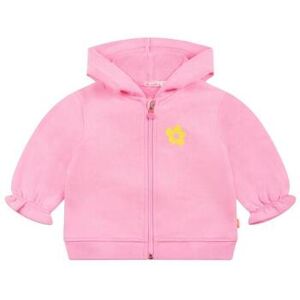 Sweatshirts à capuche Billieblush U20046 Rose 3 mois,6 mois,9 mois,2 ans Meisjes Sweatshirts à capuche Billieblush U20046 Rose 3 mois,6 mois,9 mois,2 ans Meisjes