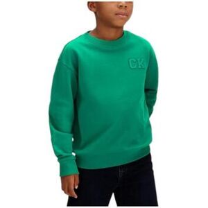 Sweat-shirt enfant Calvin Klein Jeans LVCKSJB07BMRW Vert 4 ans,14 ans,16 ans Jongens Sweat-shirt enfant Calvin Klein Jeans LVCKSJB07BMRW Vert 4 ans,14 ans,16 ans Jongens