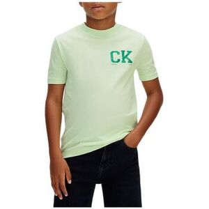 T-shirt enfant Calvin Klein Jeans LVCKSJA09BLJI Vert 4 ans,6 ans,8 ans,10 ans,12 ans,16 ans Jongens T-shirt enfant Calvin Klein Jeans LVCKSJA09BLJI Vert 4 ans,6 ans,8 ans,10 ans,12 ans,16 ans Jongens