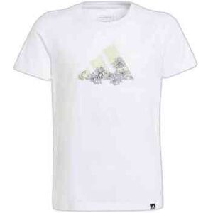 Adidas - IM8381 - Blanc - T-Shirt Adidas - IM8381 - Blanc - T-Shirt
