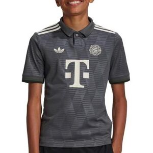 Polo enfant adidas FC Bayern 24/25 Gris 13 / 14 ans,9 / 10 ans,15 / 16 ans Jongens Polo enfant adidas FC Bayern 24/25 Gris 13 / 14 ans,9 / 10 ans,15 / 16 ans Jongens