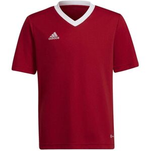 T-shirt enfant adidas GT17518 Rouge 11 / 12 ans,13 ans,5 / 6 ans,9 / 10 ans Jongens T-shirt enfant adidas GT17518 Rouge 11 / 12 ans,13 ans,5 / 6 ans,9 / 10 ans Jongens