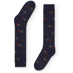 Chaussettes Naive TECKEL17L Bleu 36 / 40,41 / 46 Heren Chaussettes Naive TECKEL17L Bleu 36 / 40,41 / 46 Heren