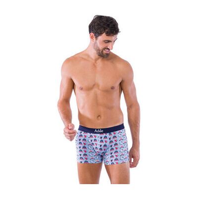 Bas de pyjama Achile Pack de 2 boxers en coton bio motifs WINTER et uni Gris T2,T4 Heren Bas de pyjama Achile Pack de 2 boxers en coton bio motifs WINTER et uni Gris T2,T4 Heren
