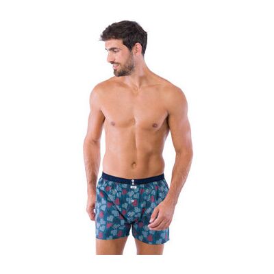 Bas de pyjama Achile Lot de 2 caleçons slippés en pur coton ROCOEUR Bleu T2,T5 Heren Bas de pyjama Achile Lot de 2 caleçons slippés en pur coton ROCOEUR Bleu T2,T5 Heren