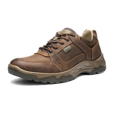 Baskets basses Ara - Marron 39,40,41,42,43,44,45 Heren Baskets basses Ara - Marron 39,40,41,42,43,44,45 Heren