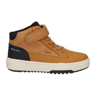 Baskets montantes enfant Geox J16FMA 0ME32 J BUNSHEE BOY B ABX multicolour 30,33,35 Jongens Baskets montantes enfant Geox J16FMA 0ME32 J BUNSHEE BOY B ABX multicolour 30,33,35 Jongens
