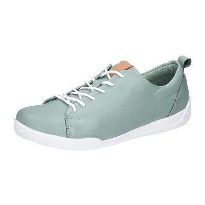 Baskets basses Andrea Conti - Vert 38,39,43,44 Dames Baskets basses Andrea Conti - Vert 38,39,43,44 Dames