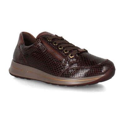 Baskets basses Ara 1254801 Marron 36,37,37 1/2,38,39,39 1/2,40,40 1/2,41,35 1/2 Dames Baskets basses Ara 1254801 Marron 36,37,37 1/2,38,39,39 1/2,40,40 1/2,41,35 1/2 Dames