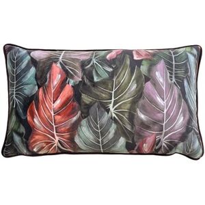 Housses de coussins Wylder 30 cm x 50 cm RV2844 Multicolore Unique Dames Housses de coussins Wylder 30 cm x 50 cm RV2844 Multicolore Unique Dames