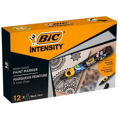 Bic, Marqueur, Intensity (12x) Bic, Marqueur, Intensity (12x)