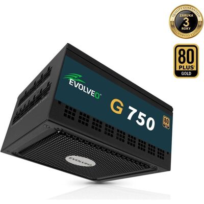Evolveo G750, 750W, ATX3.1, 14 cm, aPFC, 80+GOLD, 3 Jahre Garantie (750 W), Alimentation PC, Noir Evolveo G750, 750W, ATX3.1, 14 cm, aPFC, 80+GOLD, 3 Jahre Garantie (750 W), Alimentation PC, Noir