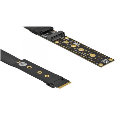 Delock 64136 Carte d'interface/adaptateur Intégré M.2 (20 cm, SATA), Câble interne (PC) Delock 64136 Carte d'interface/adaptateur Intégré M.2 (20 cm, SATA), Câble interne (PC)