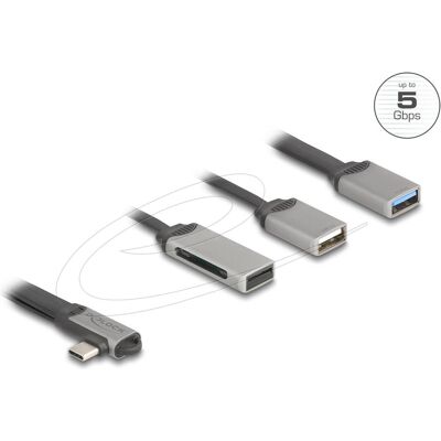 Hub USB-C DeLock avec lecteur de cartes SD & Micro SD - 2 ports Hub USB-C DeLock avec lecteur de cartes SD & Micro SD - 2 ports